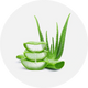 Aloe Barbadensis Leaf Extract